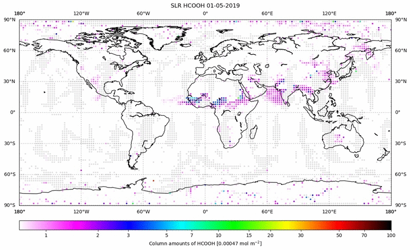 Global map of HCOOH in May 2019