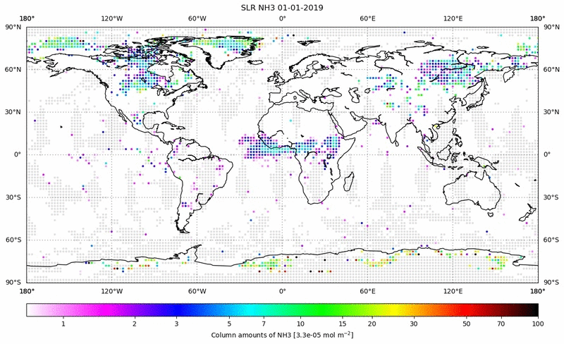 Global map of NH3 in January 2019
