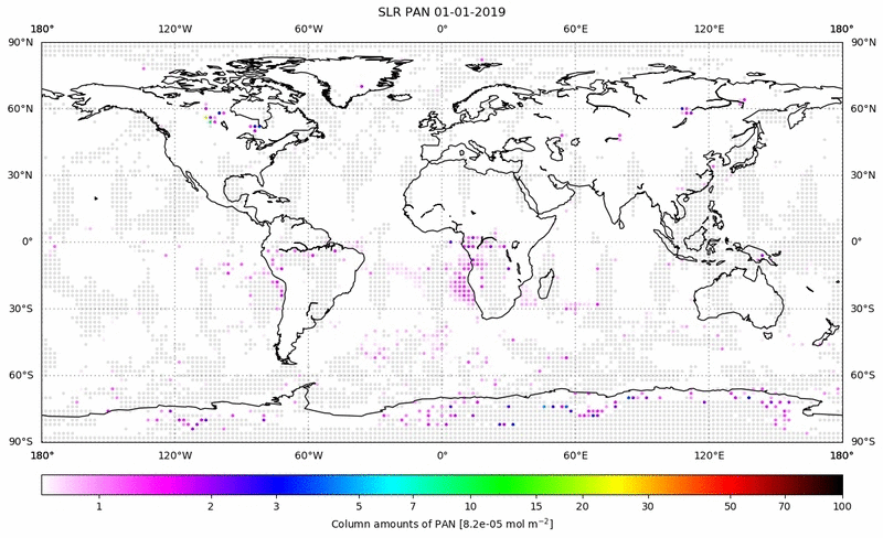 Global map of PAN in January 2019