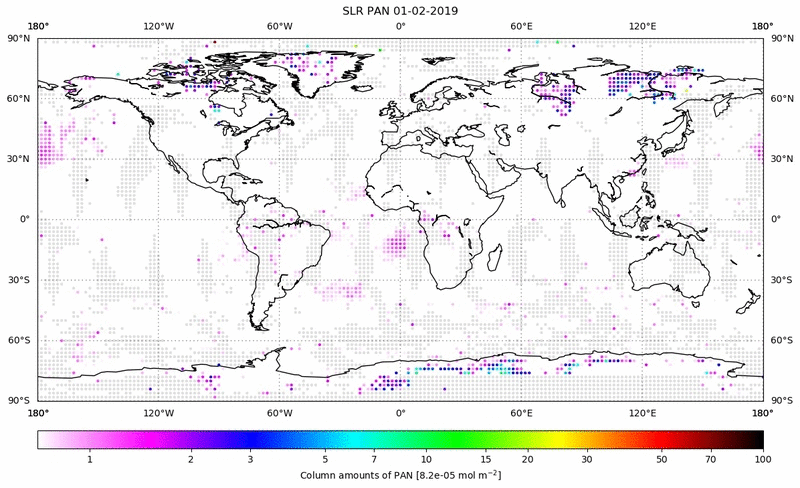 Global map of PAN in February 2019